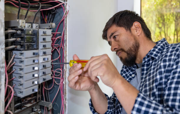 Best Generator Installation Services  in Flemington, GA